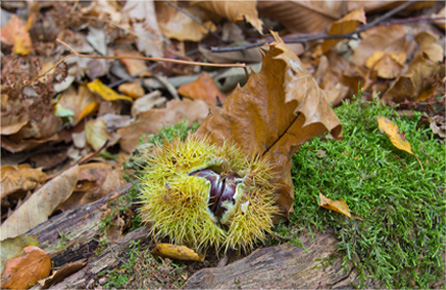 在线手机号轰炸测试